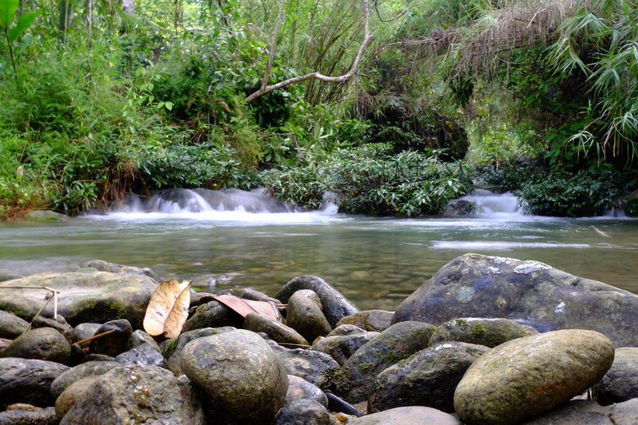 Xoi Farmstay - Eco Homestay Luc Yen Yen Bai Εξωτερικό φωτογραφία